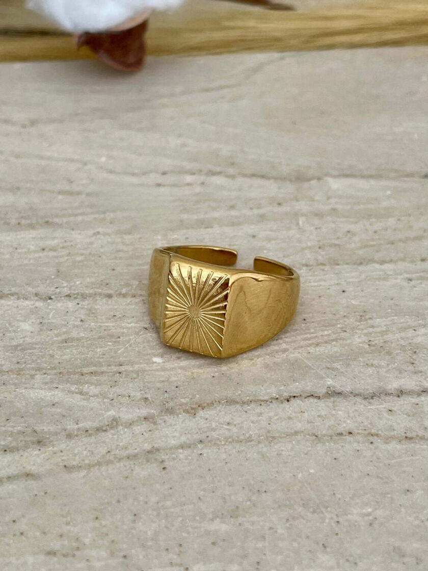 signet ατσάλινο δαχτυλίδι από ατσάλι χρυσό επίχρυσο ανοξείδωτο ατσάλι σφραγίδα γυναικεία δαχτυλίδια γυναικεία κοσμήματα μινιμαλ